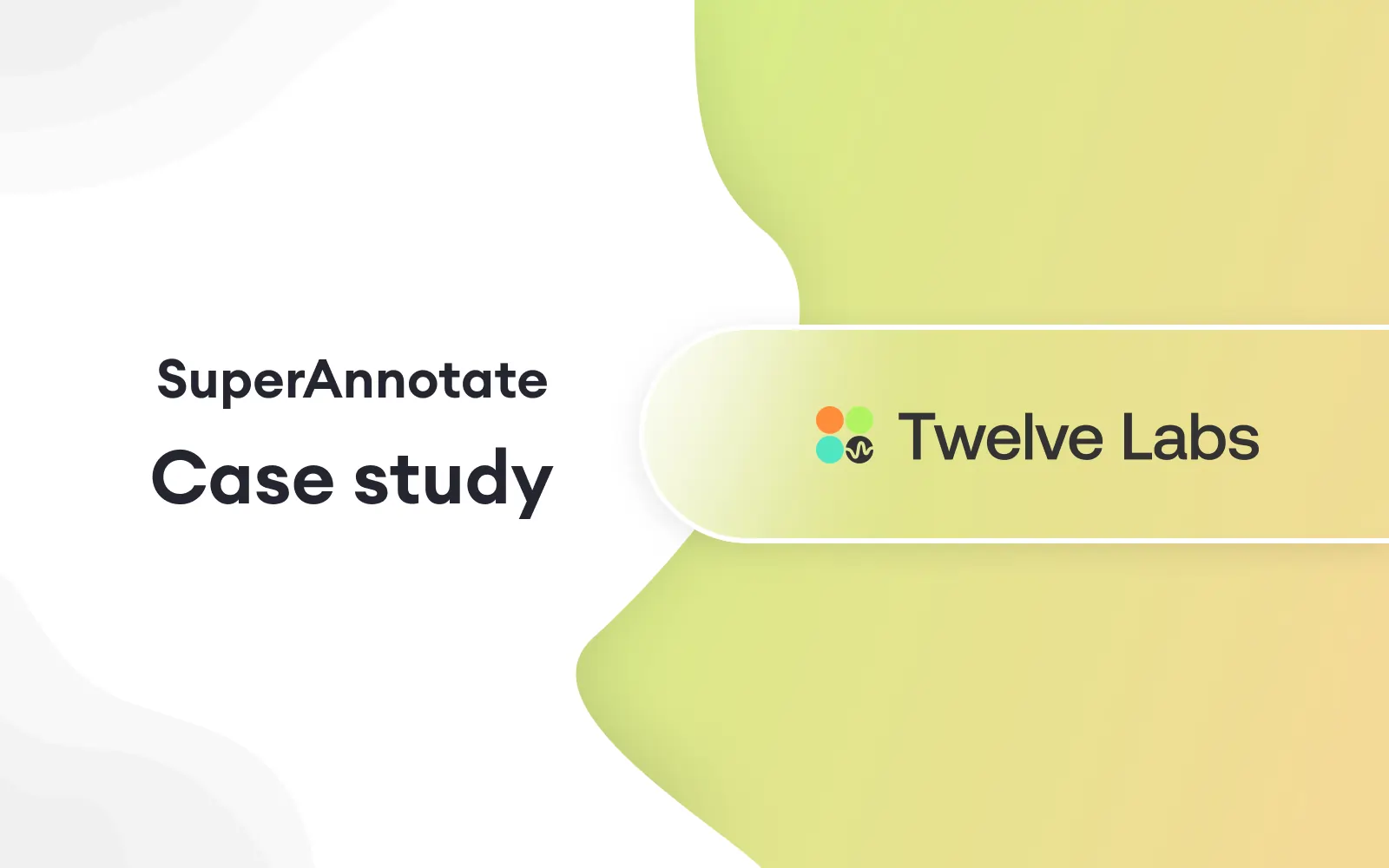 twelve labs case study