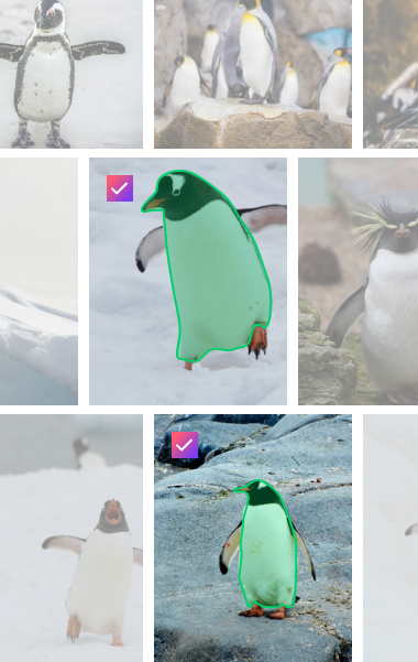 Penguin images in Explore with two similar annotated instances selected